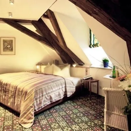 Muenchner Hof Und Blauer Turm Hotel Řezno